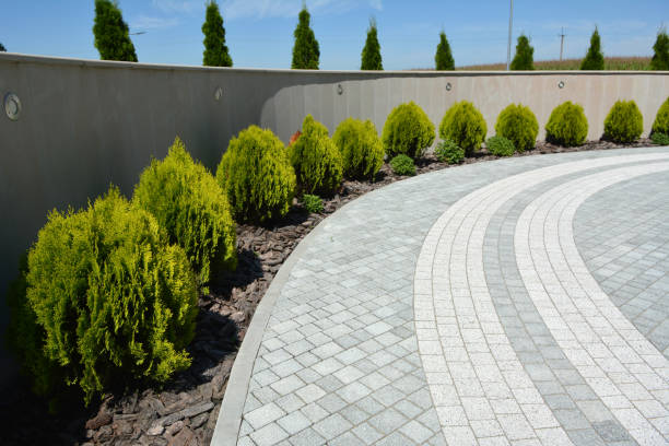 Reasons to Select Us for Your Driveway Paving Requirements in Warminster Heights, PA